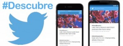 Twitter elimina la pestaña ‘Descubre’ de su app móvil